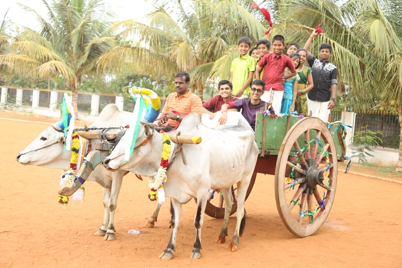 Pongal  Celebration 2017